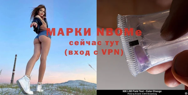 бошки Бородино