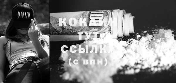 бошки Бородино