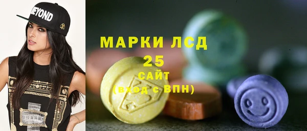 бошки Бородино