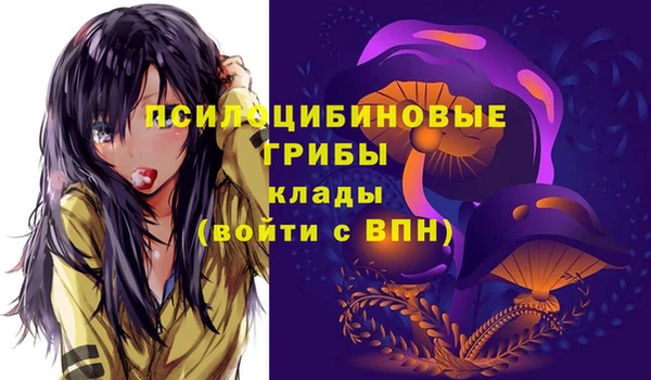 амфетамин Богородск