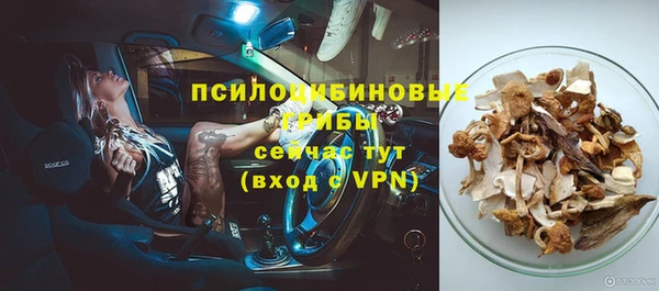 бошки Бородино