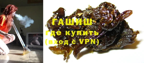 бошки Бородино